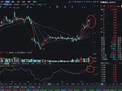 bqxscbl复制-九游官方平台